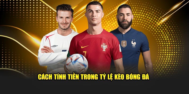 Cách tính tiền trong tỷ lệ kèo bóng đá