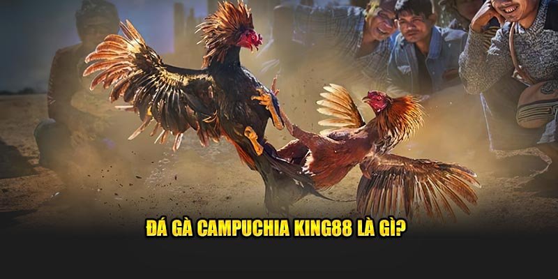 Đá gà Campuchia king88 là gì?