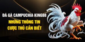 Đá gà Campuchia king88 & những thông tin cược thủ cần biết